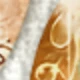 PET-323