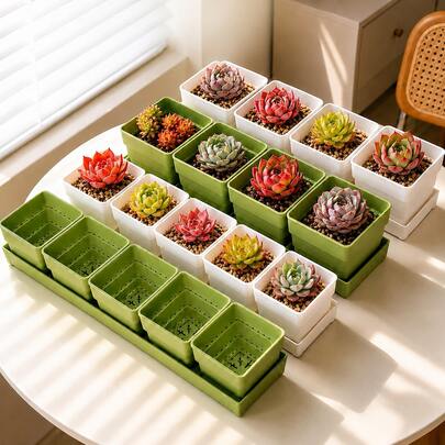 6件組園藝用品育苗盤 透氣耐用盆 多肉植物與其他植物種植必需品（綠色與白色）