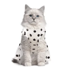 可爱猫狗连衣裙，适合小型犬和猫咪，波点公主猫咪连衣裙，春夏款，无袖狗狗连衣裙，带蝴蝶结领，宠物服装，适合生日、婚礼、派对、拍照、度假等场合。 - 白色 - 查看 10