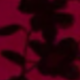 酒紅色