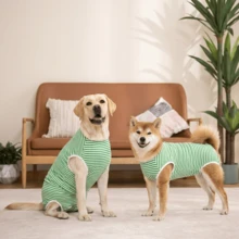 1 buah PETCHIC Dog Recovery Suit, Viscose Steril/Neuter Surgery Suit, Cocok Untuk Anjing Jantan Dan Betina, Alternatif Untuk Semprotan Pengusir, Pakaian Pelindung Kondisi Kulit (Hijau) - Hijau - View 4
