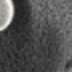negro 1