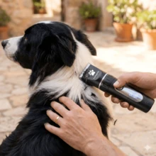 Classic Ceramic Blade Electric Pet Hair Clipper, High Speed High Power Low Noise Anti-Clogging With LCD Display, Grooming Kit For Dogs, Cats, Sheep, Horses And Other Pets - View 3