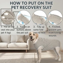 1 buah PETCHIC Dog Recovery Suit, Viscose Steril/Neuter Surgery Suit, Cocok Untuk Anjing Jantan Dan Betina, Alternatif Untuk Semprotan Pengusir, Pakaian Pelindung Kondisi Kulit (Hijau) - Hijau - View 11