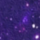 Morado