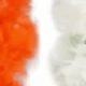 Orange White