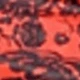Black Wine Red