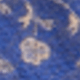 Blue Cashew
