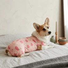 PETCHIC 狗狗绝育术后恢复服，粘胶纤维材质，适用于公犬和母犬，可替代喷雾驱避剂，保护皮肤健康（粉色） - 粉色 - 查看 9