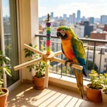 1pc Parrot Stand, Bird Swing, With Colorful Wooden Bead Windmill Rotating Rack, Bird Cage Style Wooden Stand, Bird Cage Accessory, Bird Toy Stand, Perch Stick, Suitable For Small And Medium Birds, Parrots, Lovebirds, Cockatiels, Canaries - A - View 5