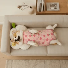 PETCHIC 狗狗绝育术后恢复服，粘胶纤维材质，适用于公犬和母犬，可替代喷雾驱避剂，保护皮肤健康（粉色） - 粉色 - 查看 10