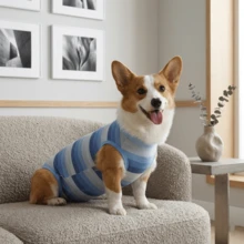 1件PETCHIC狗狗绝育手术后恢复服，粘胶纤维材质，适用于公犬和母犬，可替代驱避喷雾剂，保护皮肤健康（蓝色） - 藍色 - 查看 4