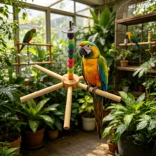 1pc Parrot Stand, Bird Swing, With Colorful Wooden Bead Windmill Rotating Rack, Bird Cage Style Wooden Stand, Bird Cage Accessory, Bird Toy Stand, Perch Stick, Suitable For Small And Medium Birds, Parrots, Lovebirds, Cockatiels, Canaries - A - View 2