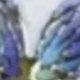 彩色