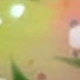 彩色