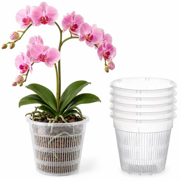 5pcs Orchid Pots, Special Root Control Pots, Transparent Perforated Orchid Pots With Slotted Net Cups Planting Baskets, Suitable For Flower And Plant Repotting