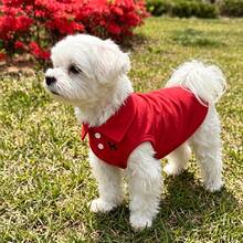 Red Pet Polo Shirt, Breathable Pique Fabric, Suitable For Poodles And Bichons, Soft And Comfortable, Suitable For Outdoor/Beach Spring Summer Autumn - Red - View 2