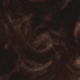 S5