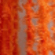 Arancione