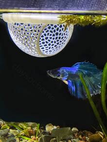 1pc 3D Printed PLA Material Betta Fish Resting Floating Bed, Mini Cave And Fish Hammock, Small Fish Feeding Ring, Aquarium Mesh Decorative Accessory - A - View 7