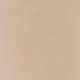 Apricot 12+ White