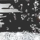 الأسود