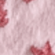 MultiWarna