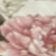 彩色