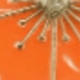 Orange Cherry Blossom a