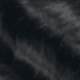 S1B