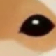 彩色