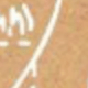一本(50張100頁)