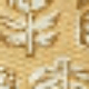 Golden Cream Color