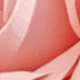 Flesh Pink