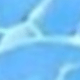 彩色