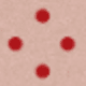 MultiWarna