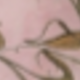 粉色