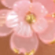 Pink Flower Armband