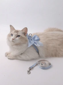 2pcs/Set Pink Fairy Style Bow Pet Harness And Leash, Lightweight Outdoor Set, X-Shaped Design With Decorative Bow, Suitable For All Seasons, Fits Small To Medium Dogs And Cats - Multicolor - View 6