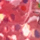 Multicolor