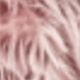 Watermelon Pink