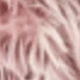 Watermelon Pink