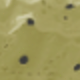 Green Background With Black Polka Dots