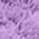 Red Violet