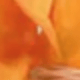 彩色