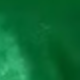 أخضر