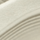 Xuan Paper White