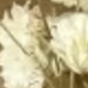 White Green