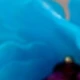 Azul