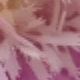Lilac Purple